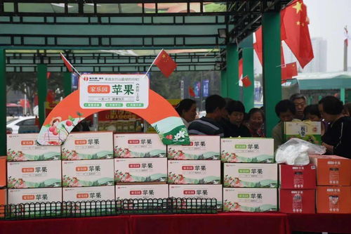 邢臺農(nóng)特產(chǎn)品熱銷，正餐服務(wù)助推地方經(jīng)濟