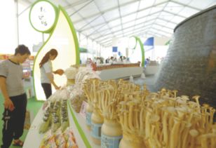 規模大、檔次高、印象深 打造邢臺農產品新形象的“正餐服務”之道