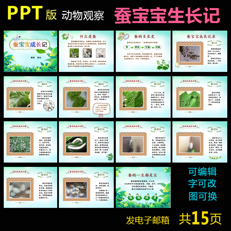蠶寶寶生長記 科學(xué)觀察日記圖文版